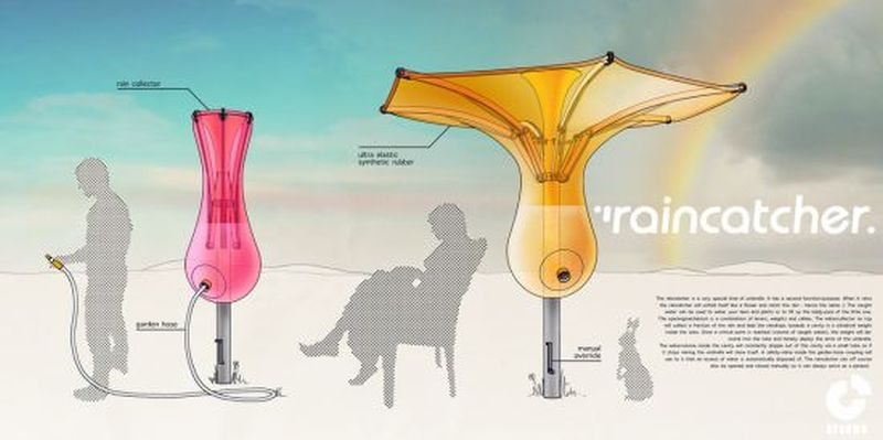 雨水收集器 倒伞盛开进入雨水收集器 Designbuzz